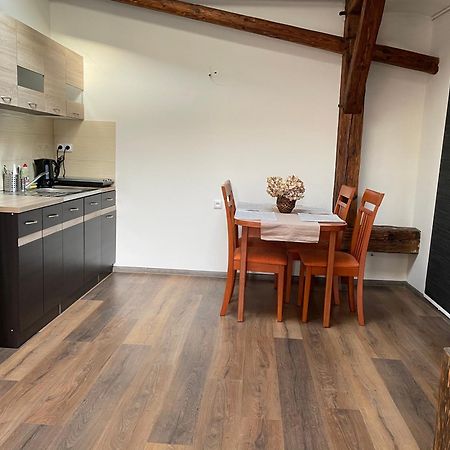 Apartmán Studia Maxim Frýdek-Místek Exteriér fotografie