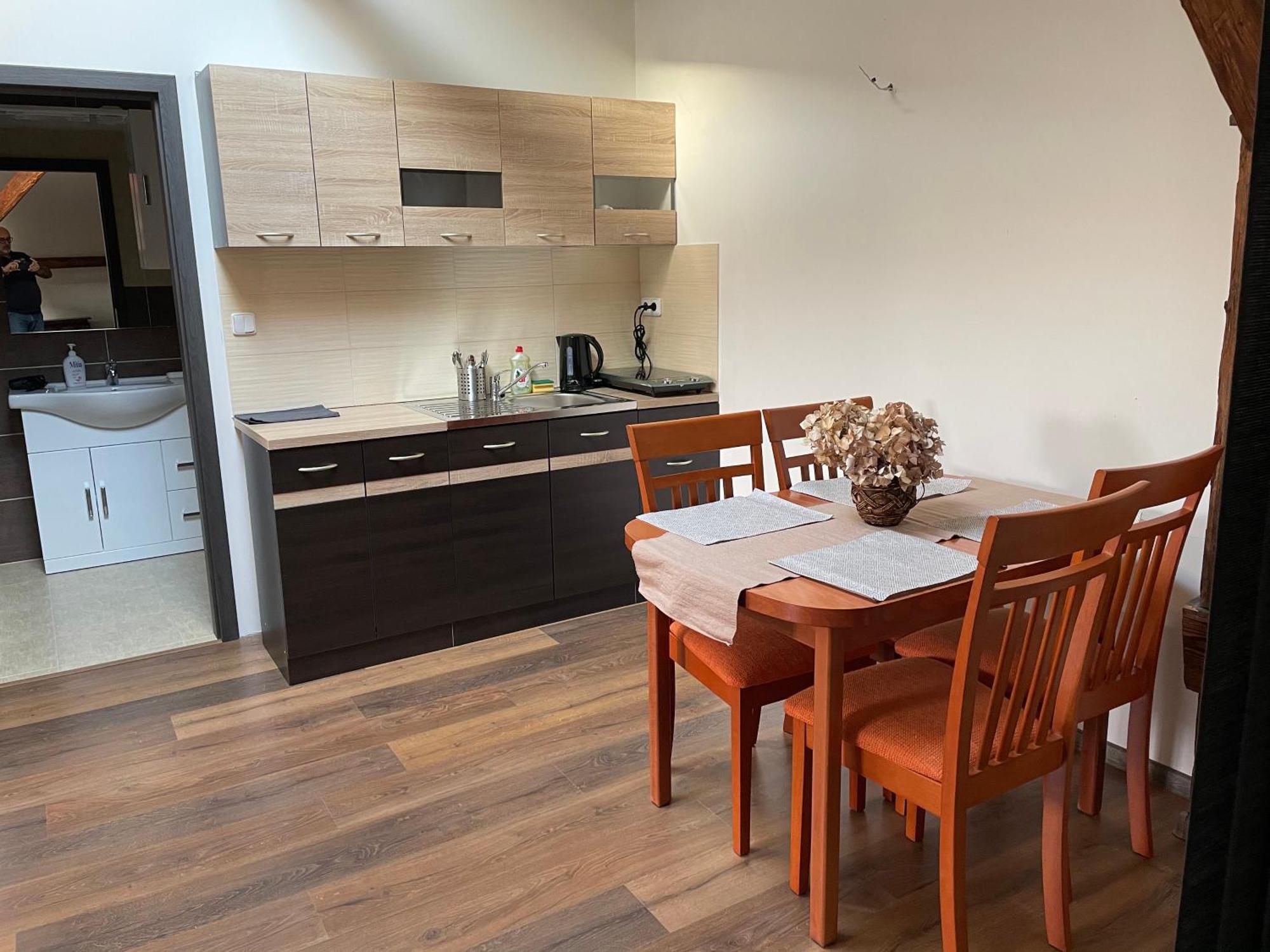 Apartmán Studia Maxim Frýdek-Místek Exteriér fotografie