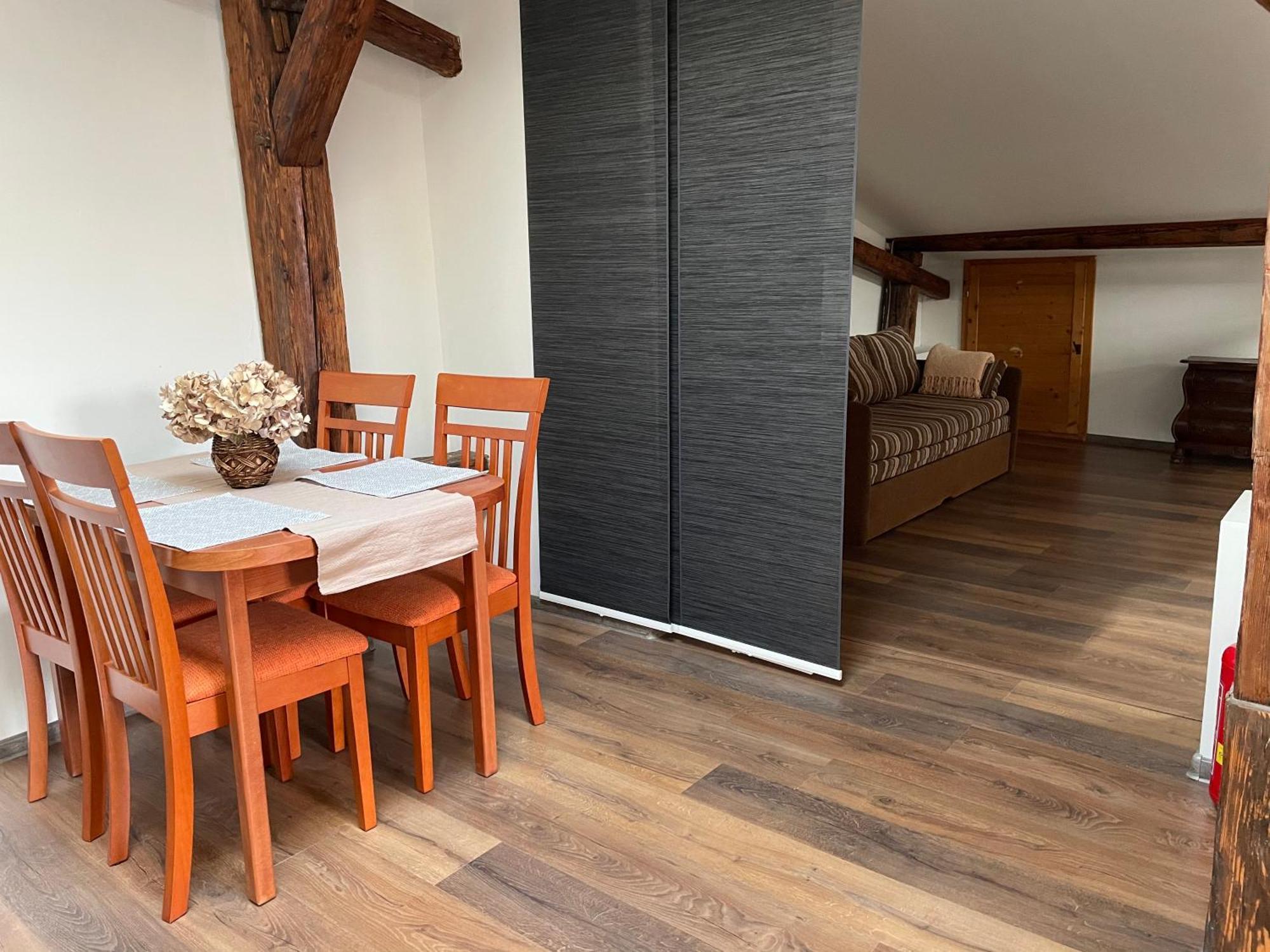 Apartmán Studia Maxim Frýdek-Místek Exteriér fotografie