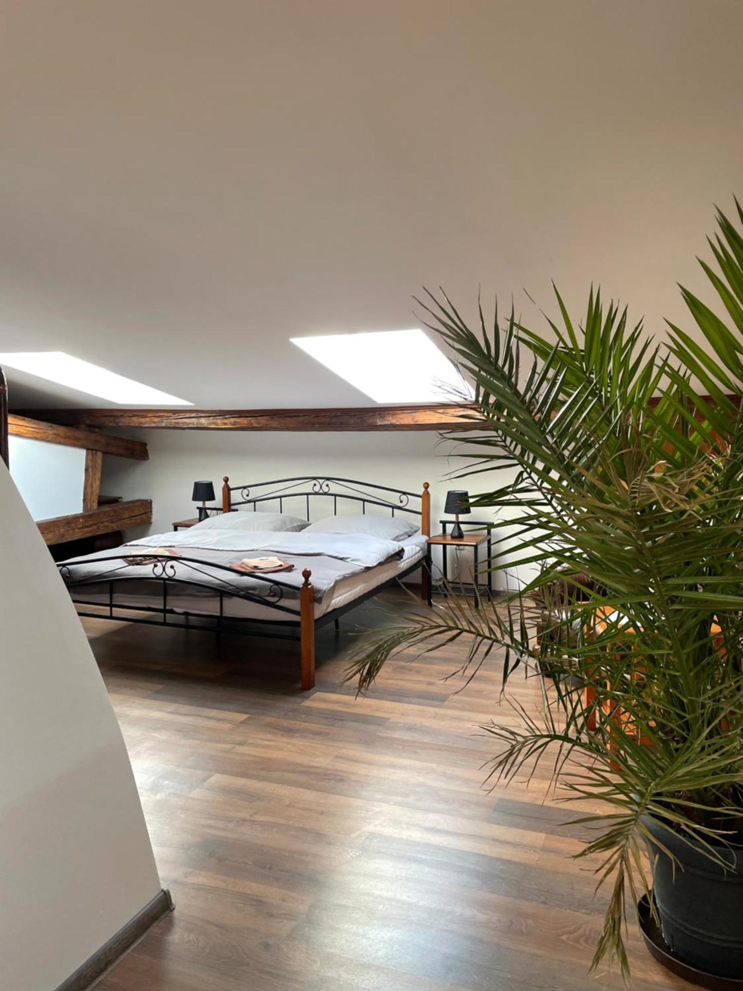 Apartmán Studia Maxim Frýdek-Místek Exteriér fotografie